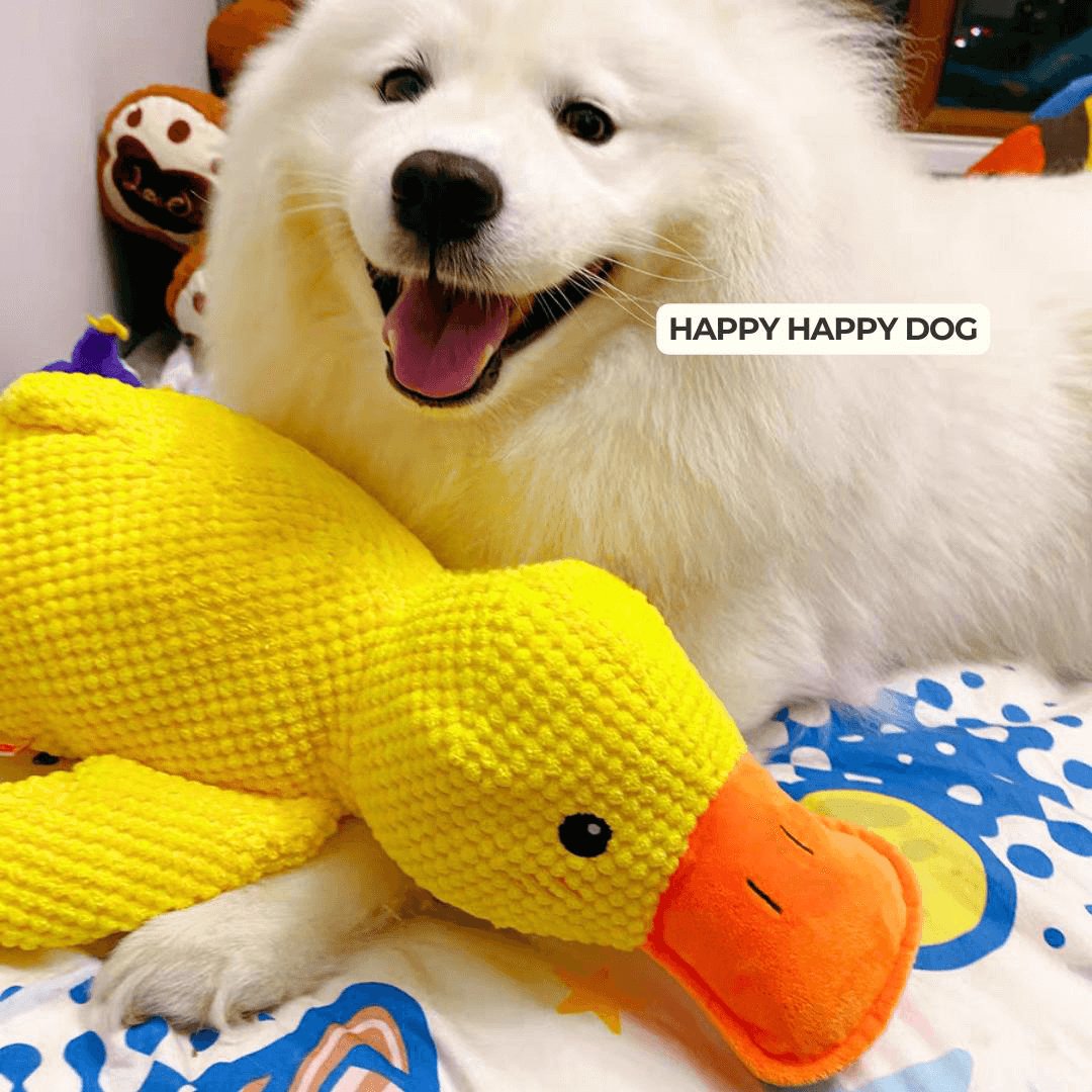 QuackMate | Interactive Plush Duck Dog Toy with Quacking Sound 2
