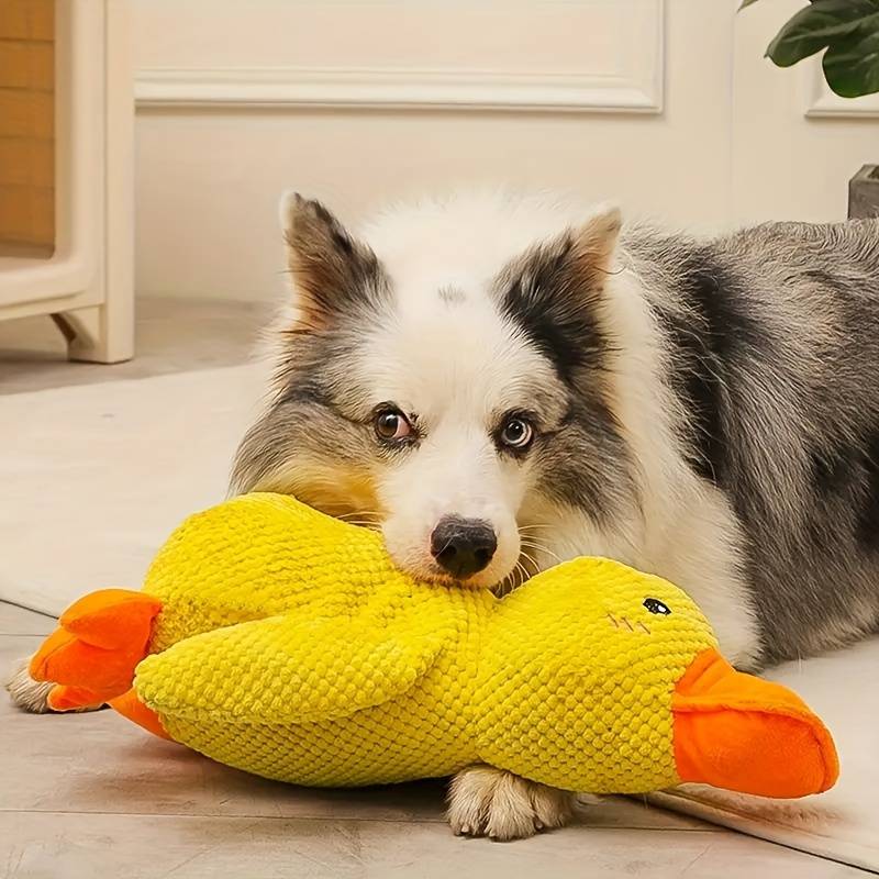 QuackMate | Interactive Plush Duck Dog Toy with Quacking Sound 3