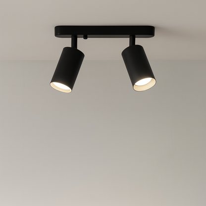 Rotating 2-head Spot Ceiling Lamp 0