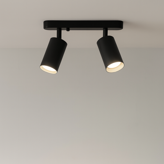 Rotating 2-head Spot Ceiling Lamp 0