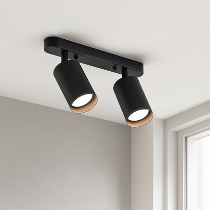 Rotating 2-head Spot Ceiling Lamp 1