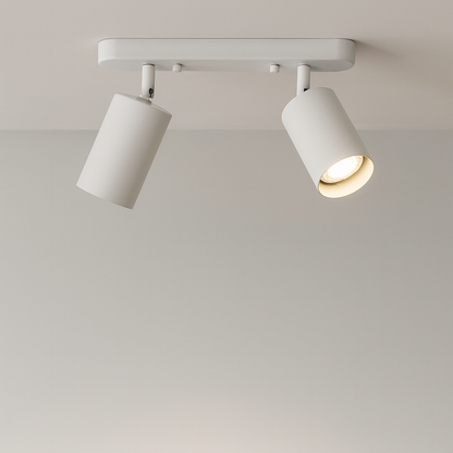 Rotating 2-head Spot Ceiling Lamp 3
