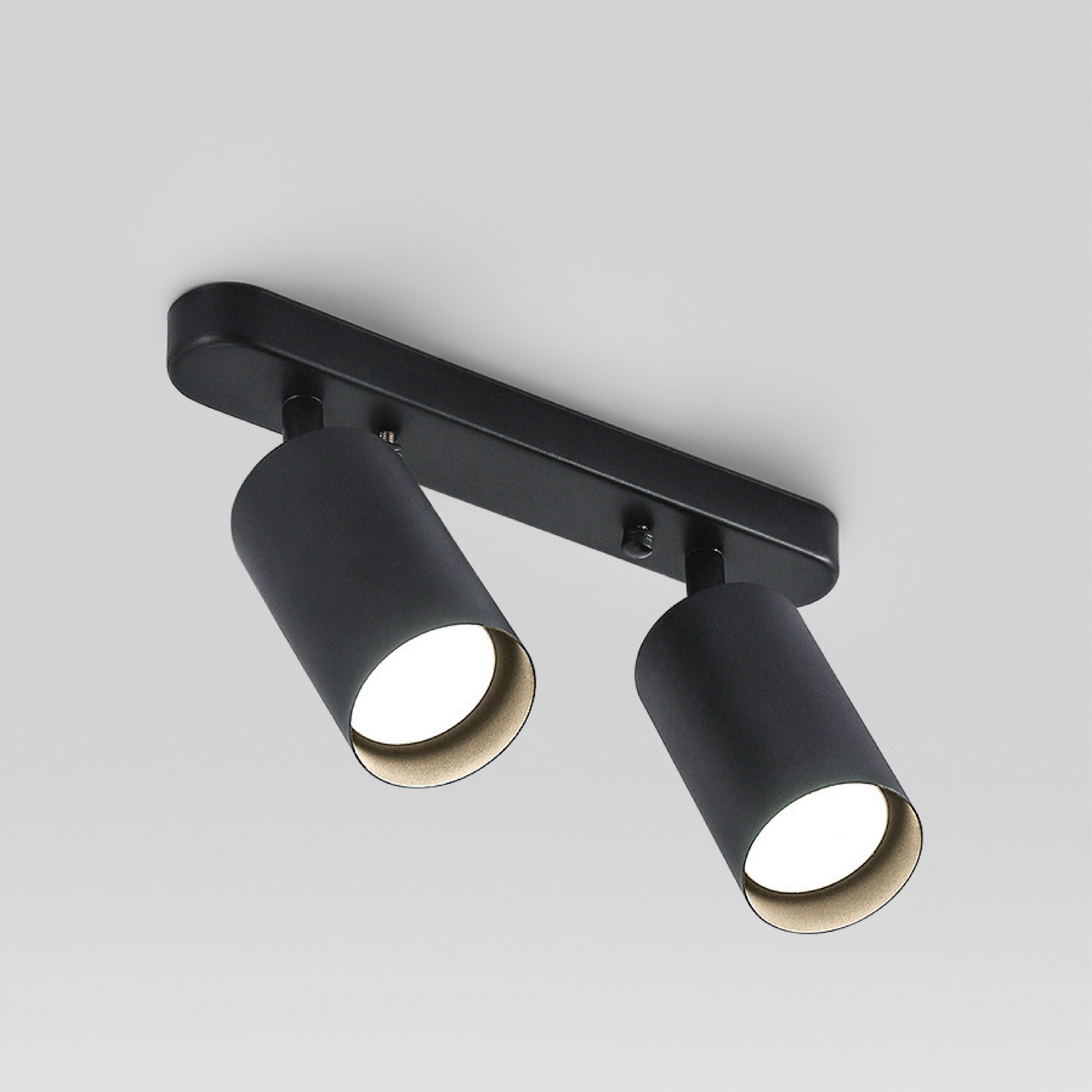 Rotating 2-head Spot Ceiling Lamp 4