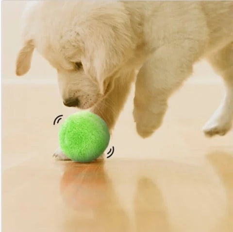 Automatic Rolling Dog Ball - Interactive Rechargeable Toy for Indoor/Outdoor Play, Safe Non-Toxic Material-3