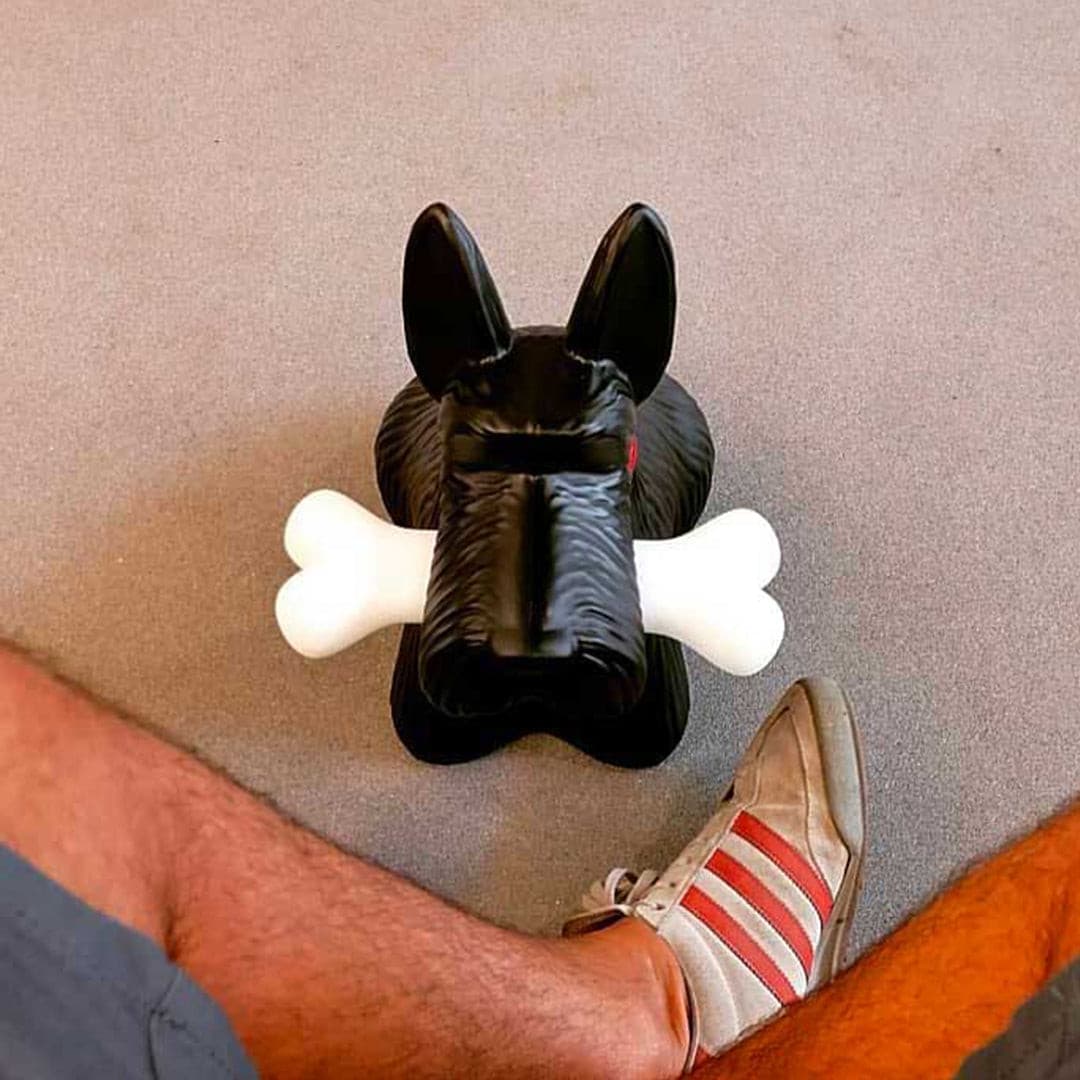 PuppyShine – Lámpara de Mesa LED de Perro Scottie Juguetón