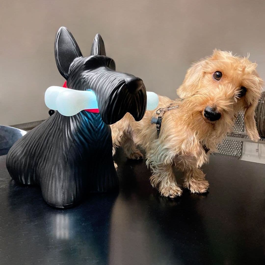 PuppyShine – Lámpara de Mesa LED de Perro Scottie Juguetón