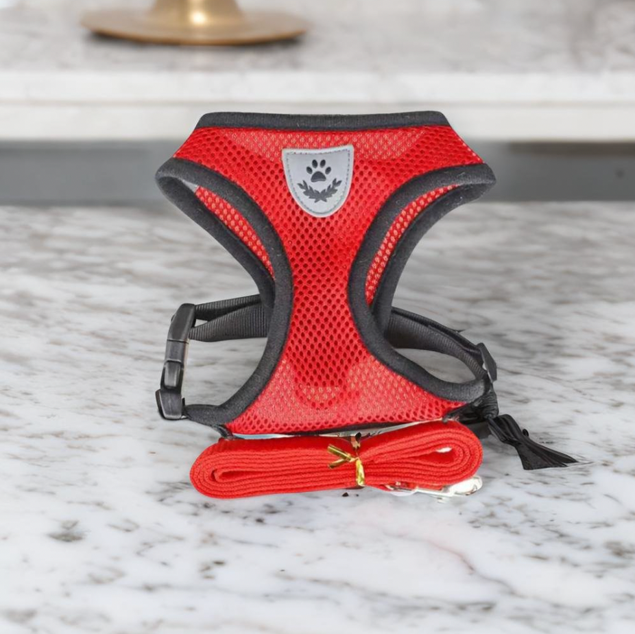 Comfortable Cat Harness and Leash Set, Adjustable Breathable Design for Safe Outdoor Adventures – Best Cat Harness for Kittens and Cats-2