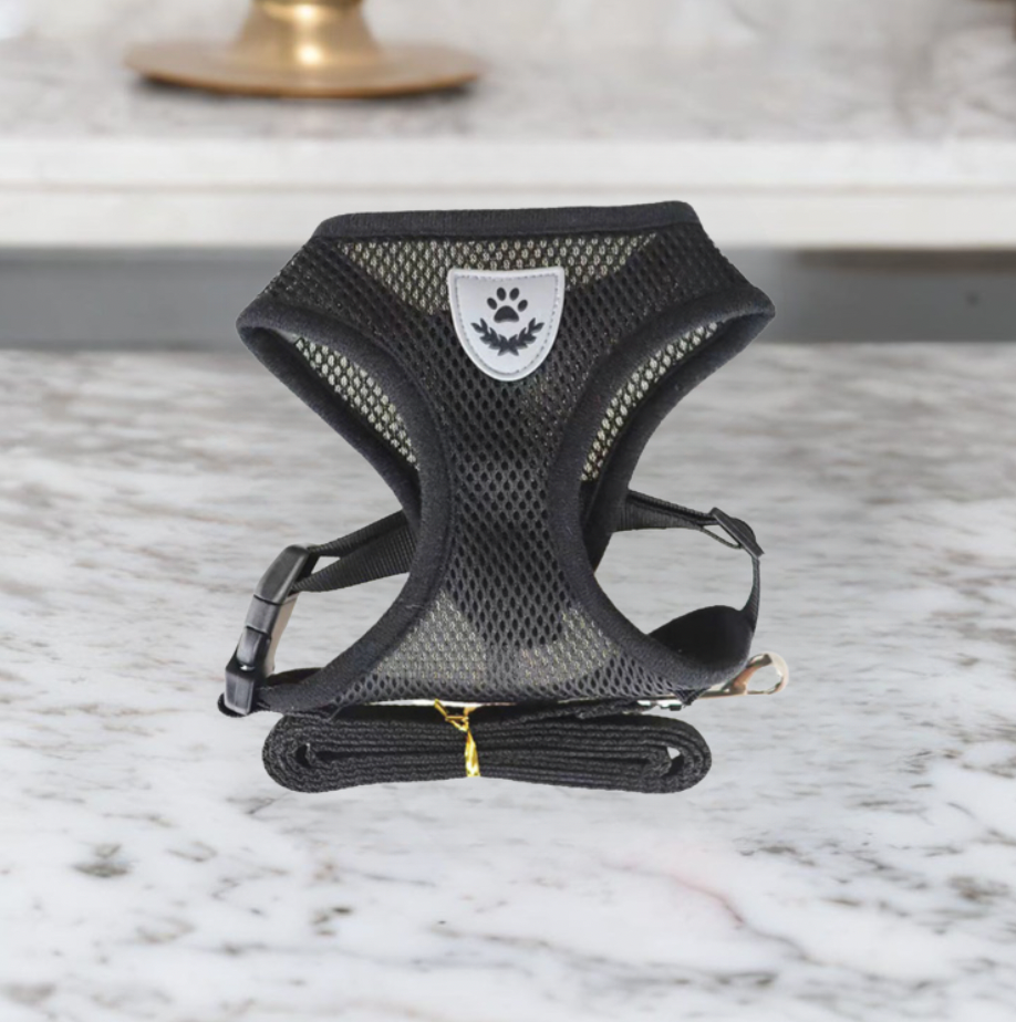 Comfortable Cat Harness and Leash Set, Adjustable Breathable Design for Safe Outdoor Adventures – Best Cat Harness for Kittens and Cats-3