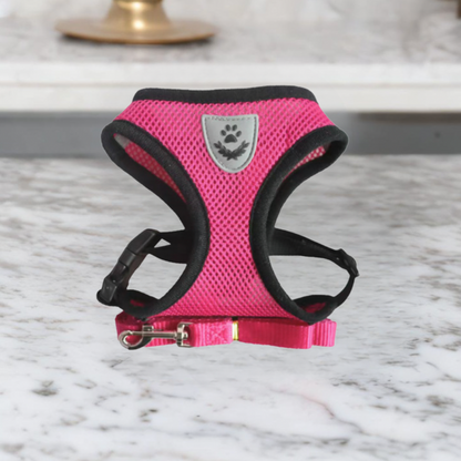 Comfortable Cat Harness and Leash Set, Adjustable Breathable Design for Safe Outdoor Adventures – Best Cat Harness for Kittens and Cats-5