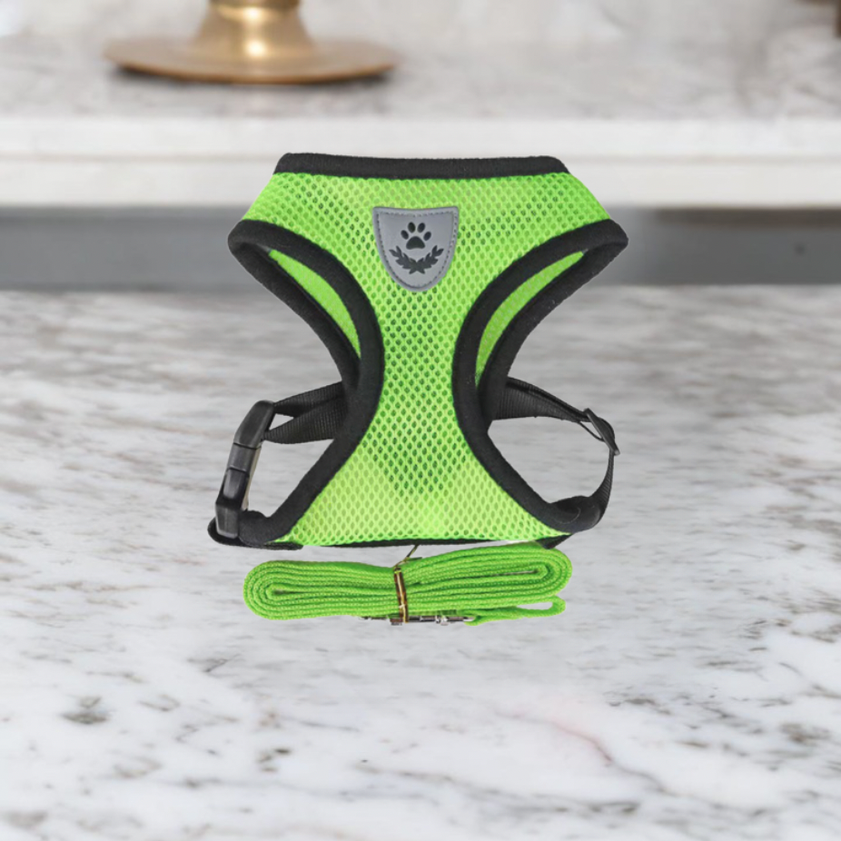 Comfortable Cat Harness and Leash Set, Adjustable Breathable Design for Safe Outdoor Adventures – Best Cat Harness for Kittens and Cats-4