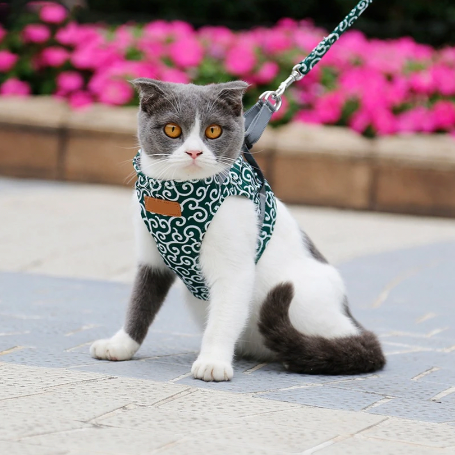 Stylish Cat Harness with Matching Leash - Comfortable and Easy to Wear, Adjustable Fit for Cats and Kittens-2