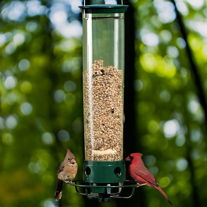 Squirrel Proof Bird Feeder 0
