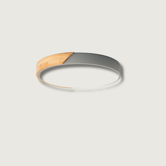 DelphiBeam - Loftlampe med sofistikeret design og blid belysning