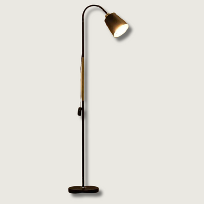 ShineSky - Modern Floor Lamp with Style