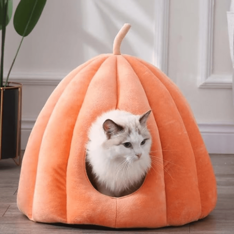 Pumpkinpaws Cozy Pumpkin-Shaped Cat Bed for Winter Comfort & Hygiene-4