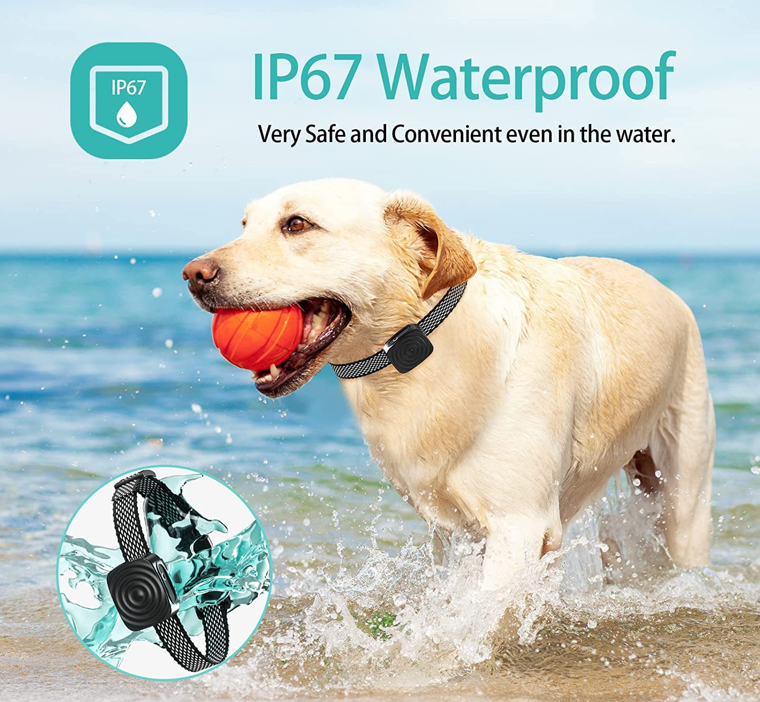 Vivolux | Anti-bark dog collar for small dogs 3