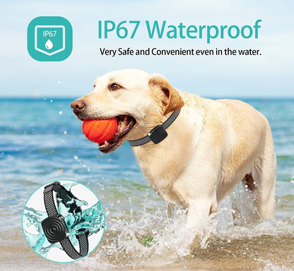 Vivolux | Anti-bark dog collar for small dogs 3