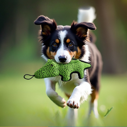 Vivolux | Dog Chew Toy, Durable Squeaker, Heavy-Duty Chewing 2