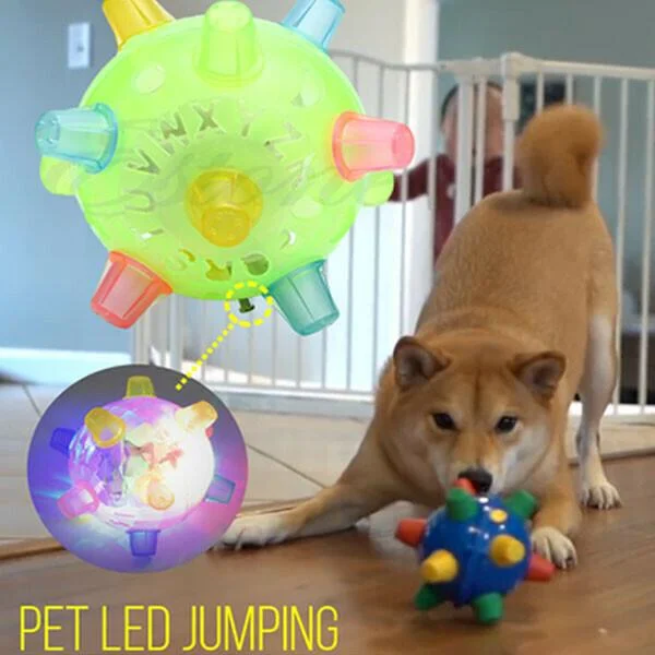 Vivolux | Dog Toy LED Bouncing Interactive Ball Rubber 6
