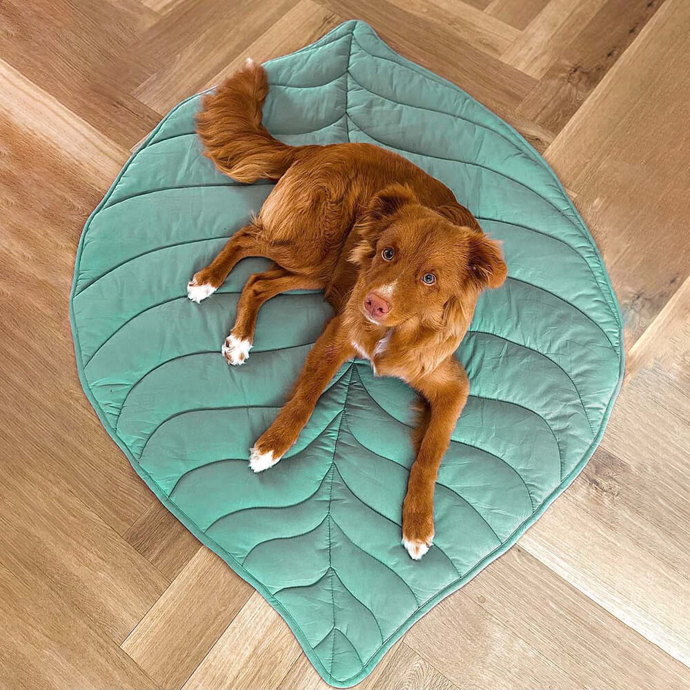 Vivolux | Dog blanket mat for large pets 9