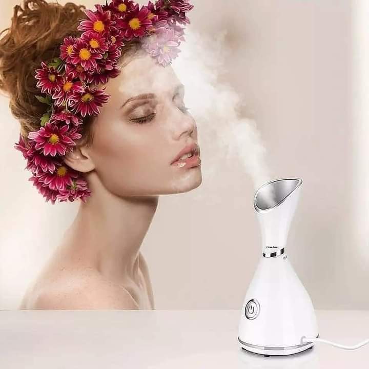 Vivolux | Facial Steamer 1