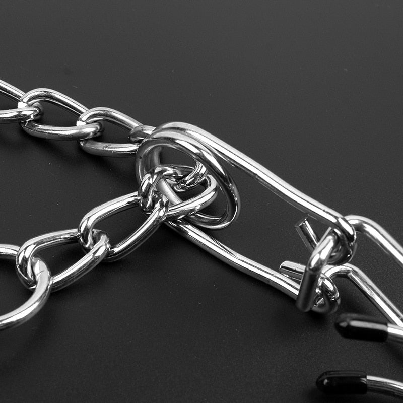 Vivolux | Pincher Dog Collar - Style B 5