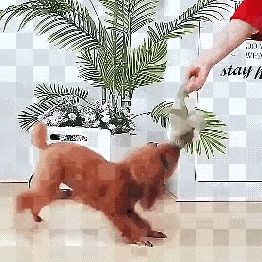 Vivolux | Plush Dog Chew Toy, Durable Squeaky Toy 4