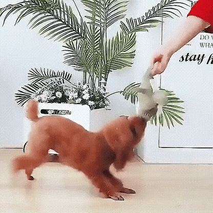 Vivolux | Plush Dog Chew Toy, Durable Squeaky Toy 4