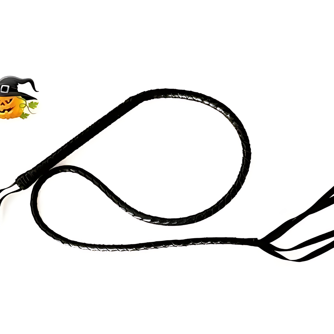 Women’s Shiny Halloween Costume Catsuit | Long Sleeve 6