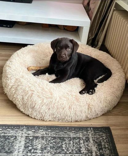 Large Orthopedic Dog Bed with Ergonomic Support – Soft, Durable, Hypoallergenic Comfort for All Breeds-4