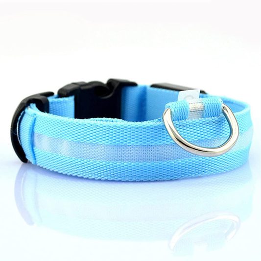 Luminous Pet Collar with LED Light – Rechargeable, Water-Resistant, Adjustable Fit for Enhanced Nighttime Safety-1