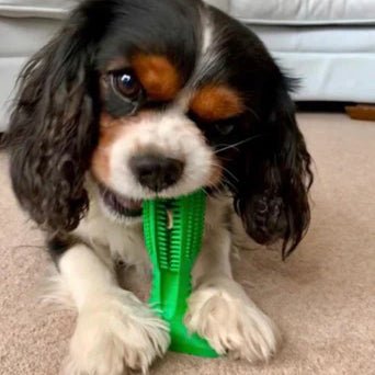 Durable Dog Toothbrush Toy – Tough Natural Rubber Chew Toy for Dental Health and Fresh Breath-3