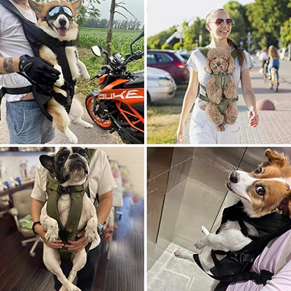 Petcarry - Hands-Free Dog Carrier Backpack for Comfortable Travel & Easy Mobility-2
