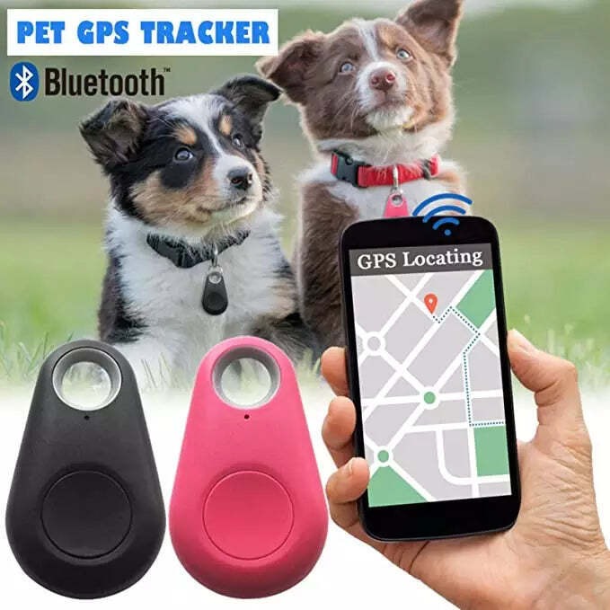 PawLocator | Bluetooth GPS Tracking Device for Pets