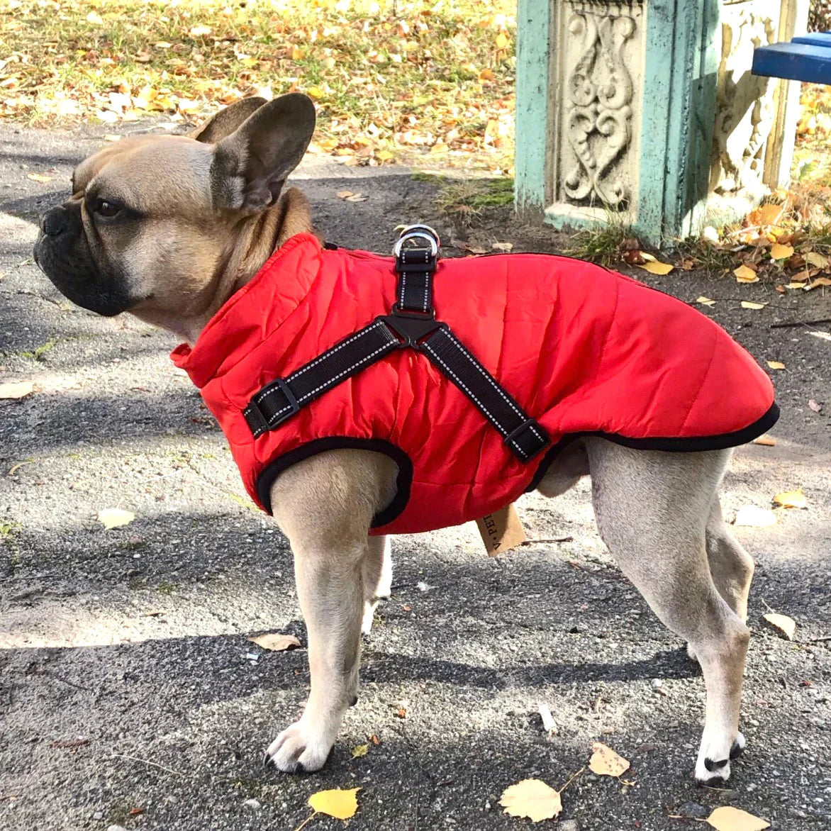 Waterproof Dog Coat with Built-in Harness – Warm, Weather-Resistant Dog Jacket for All Breeds-4