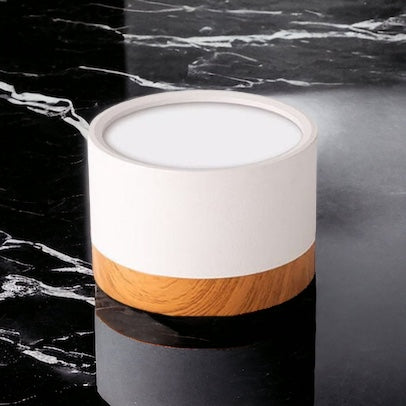 BeamLuxe – Energy-Efficient LED Ceiling Spot in Modern Style