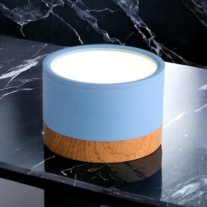 BeamLuxe – Energy-Efficient LED Ceiling Spot in Modern Style