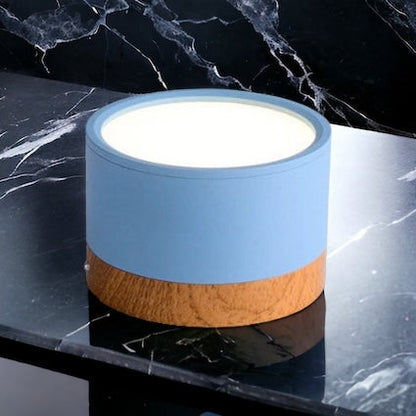 BeamLuxe – Energy-Efficient LED Ceiling Spot in Modern Style