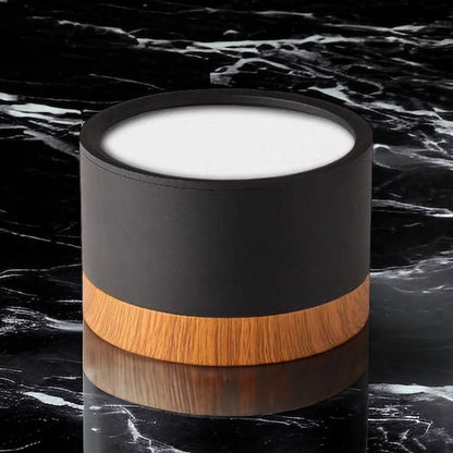 BeamLuxe – Energy-Efficient LED Ceiling Spot in Modern Style