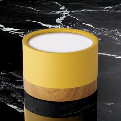 BeamLuxe – Energy-Efficient LED Ceiling Spot in Modern Style