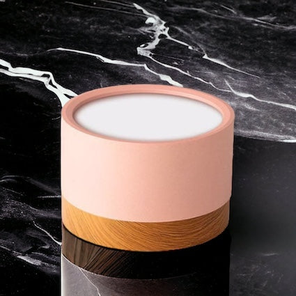 BeamLuxe – Energy-Efficient LED Ceiling Spot in Modern Style