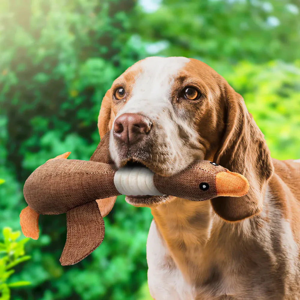 Durable Interactive Duck Pet Toy – Tough Dog Chew Toy for Safe Play and Endless Fun, 12 Inches Long-2