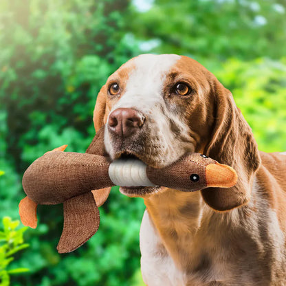 Durable Interactive Duck Pet Toy – Tough Dog Chew Toy for Safe Play and Endless Fun, 12 Inches Long-2