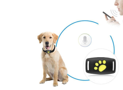 Trackcat - Real-Time GPS Cat Tracker Collar with Reliable Satellite Tracking-5
