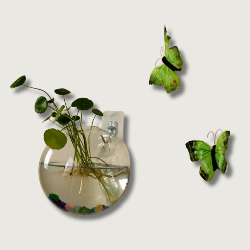 AeroVase - Decoración de vidrio hidrológica