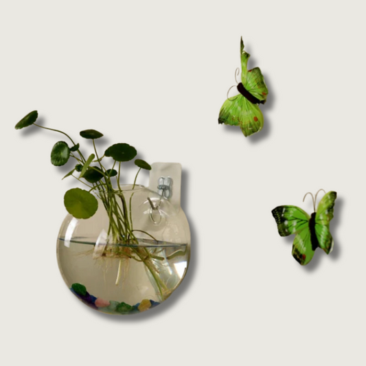 AeroVase - Hydrologische Glasdecoratie