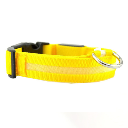 Variant image for Luminous Pet Collar with LED Light – Rechargeable, Water-Resistant, Adjustable Fit for Enhanced Nighttime Safety-5
